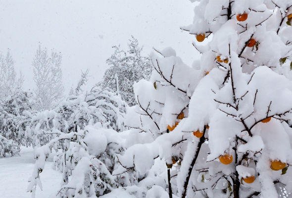 Faktiki hava açıqlanıb