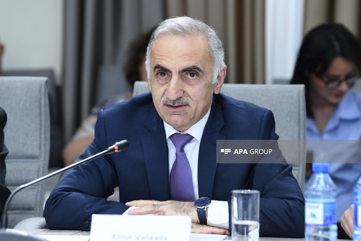 Elmir Vəlizadə: Qanunun əsas mahiyyəti uşaqların sosial şəbəkələrdə zərərli təsirlərdən qorunmasından ibarətdir